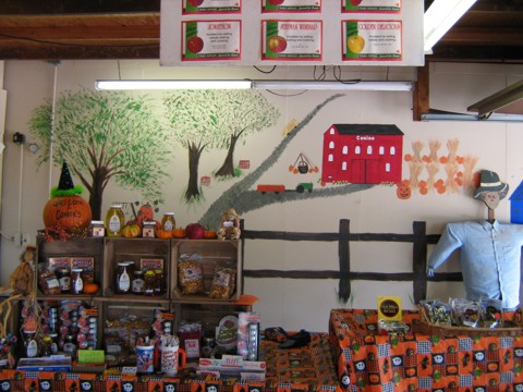 The Barn Tour & Apple Press